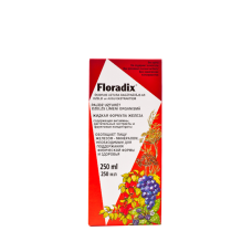 FLORADIX dzelzs 500ml